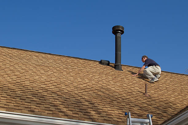 Best Roof Maintenance and Cleaning  in Carolina Beach, NC